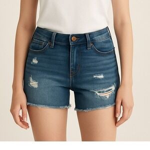 American Eagle Outfitters Distressed Denim Cutoff Shorts Womens Size 4